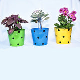 Iron Hook Hanging Decorative Round Shape Pot - (Multicolored) | Set of 5