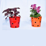 Iron Hook Hanging Decorative Round Shape Pot - (Multicolored) | Set of 5