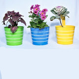 Iron Hook Hanging Decorative Round Shape Pot - (Multicolored) | Set of 5