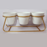 Metal 3 Pot Table top Planter with Golden Stand | White Collar Pots